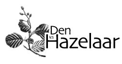 Den Hazelaar